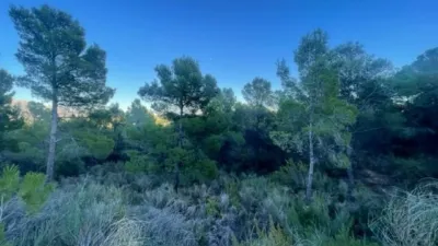 Terreno en venta en Polop - Vista 2