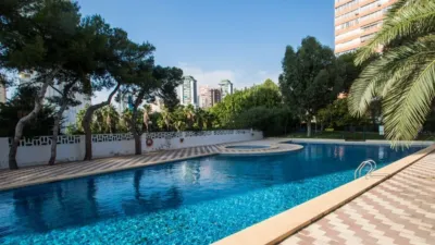 Apartment in Platja de Ponent photo 16