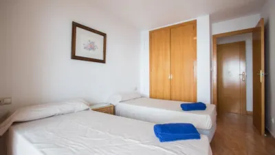 Apartment in Platja de Ponent photo 8