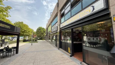 Duplex in Avenida de Europa Zone photo 4