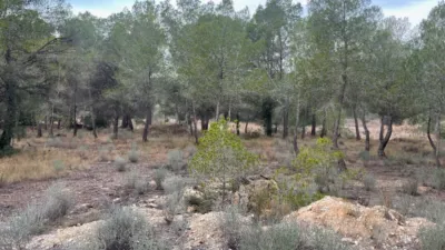 Terreno en venta en La Nucia - Vista 3
