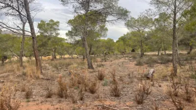 Terreno en venta en La Nucia - Més