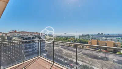 Pis – Guardamar del Segura - Vista 2