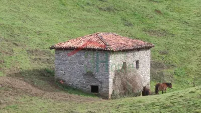 Rustic finca in Yanci - Igantzi photo 4