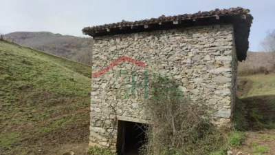 Rustic finca in Yanci - Igantzi photo 7