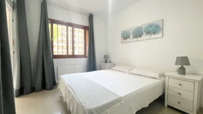 Apartment in Los Cristianos photo 3