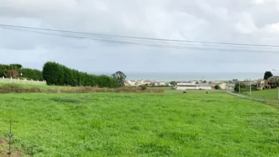Rustic farm on Palmiz Street - San Martiño photo 12