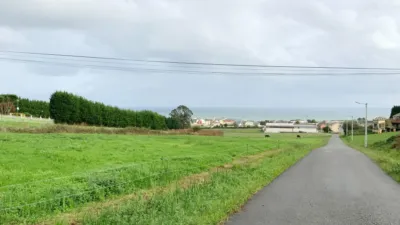 Rustic farm on Palmiz Street - San Martiño photo 13