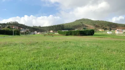 Rustic farm on Palmiz Street - San Martiño photo 5