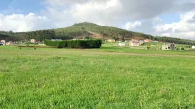 Rustic farm on Palmiz Street - San Martiño photo 6