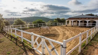 Chalet in Peñarroya-Pueblonuevo photo 9