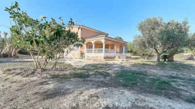 Casa – Sant Vicent del Raspeig - San Vicente del Raspeig - Vista 3