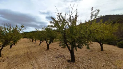 Finca rústica en Casa Los Molinos photo 3