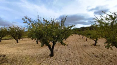 Finca rústica en Casa Los Molinos photo 4