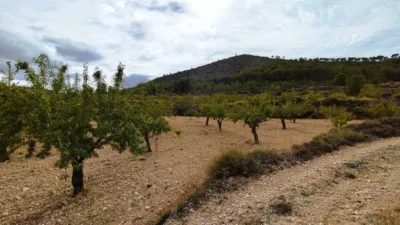 Finca rústica en Casa Los Molinos photo 5