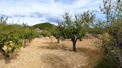 Finca rústica en Casa Los Molinos photo 9