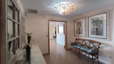 Apartment in Platja de Ponent photo 13