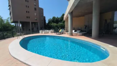 Apartment in Platja de Ponent photo 36