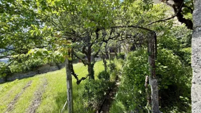 Chalet in Elgeta photo 3