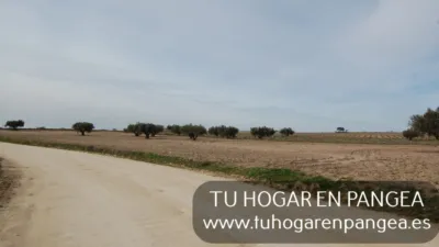 Finca rústica en venta en Navalcarnero, Navalcarnero de 18.800 €