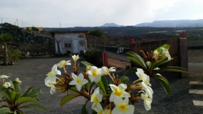 Rustic Finca in Acojeja photo 13