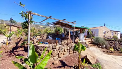 Rustic Finca in Acojeja photo 8