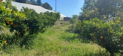 Casa - Vista 3