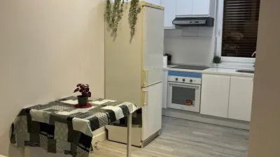 Apartment in Albiz-Markonzaga photo 3