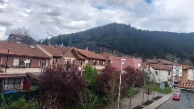 Apartment in Areta photo 23