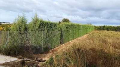 Terreno en venta en Montesano - Vista 3
