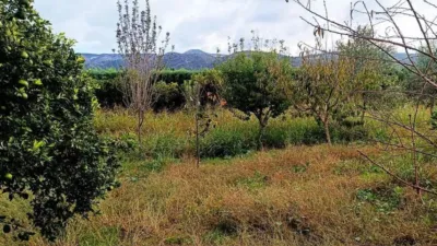 Terreno en venta en Montesano - Vista 5