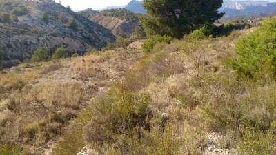Terreno en venta en Área de Finestrat - Vista 4