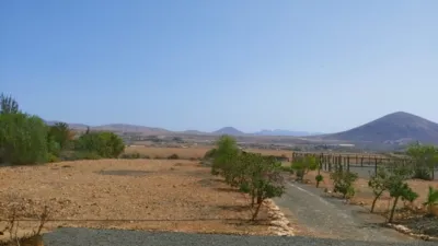 Rustic Finca in Tuineje photo 20
