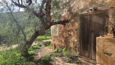 Rustic Finca in Tiscamanita photo 6