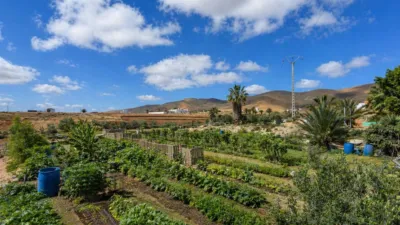 Rustic Finca in Costa de Antigua photo 36