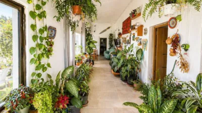 Rustic Finca in Costa de Antigua photo 3