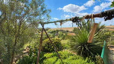 Rustic Finca in Costa de Antigua photo 42