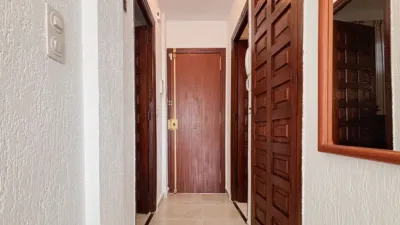 Apartment in Playa del Arenal Bol-Playa del Cantal Roig photo 19