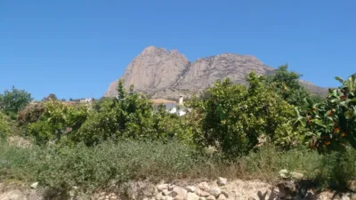 Terreno en venta en Área de Finestrat - Vista 4