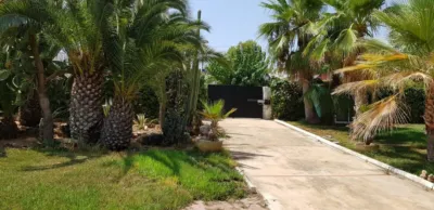 Chalet in Chiva photo 42