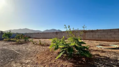 Rustic Finca in Tuineje photo 31