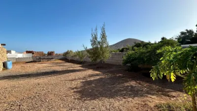 Rustic Finca in Tuineje photo 8