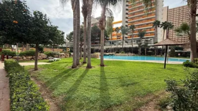 Apartment in Racó de l'Oix photo 24
