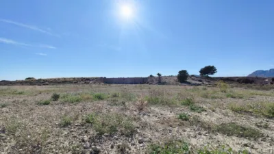 Rustic Finca in Abanilla photo 2