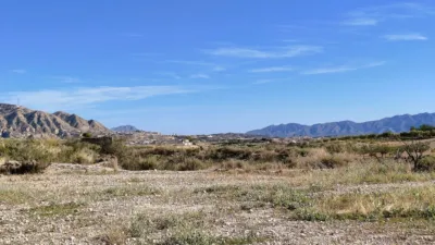Rustic Finca in Abanilla photo 3