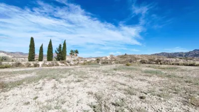 Rustic Finca in Abanilla photo 6