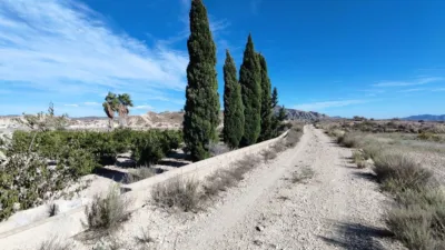 Rustic Finca in Abanilla photo 8