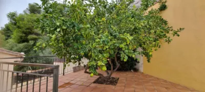 Semi-detached house in Segur de Calafell photo 35