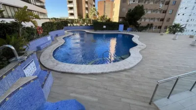 Apartment in Racó de l'Oix photo 2