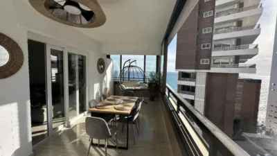 Apartment in Racó de l'Oix photo 3